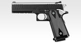 High Capa E Government Model