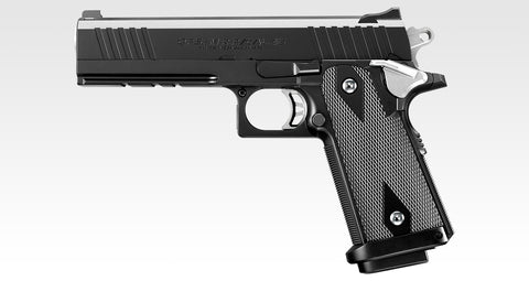 High Capa E Government Model