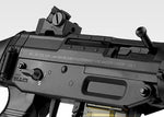 SIG 552 Seals