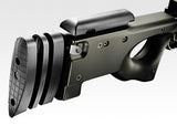 L96 AWS